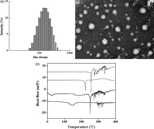 Figure 2. Characterization of GLA nanoparticles. (A) Particle size distribution of GLA nanosuspensions (n = 3); (B) TEM micrograph of GLA nanosuspensions ( × 50 000); (C) DSC thermograms for the freeze-dried GLA nanosuspensions, coarse drug powders, lecithin, and lyophilized powders of fetal calf serum (top to bottom).
