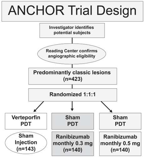 Figure 3 ANCHOR trial design.