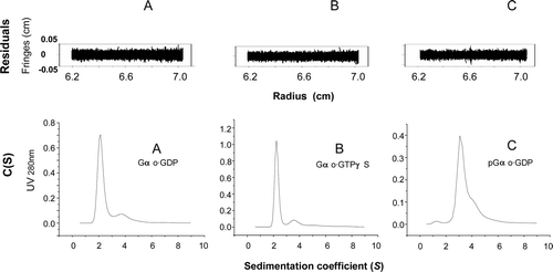 Figure 7.  Sedimentation coefficient distributions derived from sedimentation velocity profiles. (A) Gαo·GDP. (B) Gαo·GTPγS. (C) pGαo·GDP. Differential sedimentation coefficients, c(s), in the lower panel of (A), (B) and (C) were calculated from the sedimentation velocity data using SEDFIT software. After loading the complete data sets into SEDFIT, the bottom, meniscus, and the outer and inner fitting limits should be selected on the data plot (not shown). The residuals plot in the top panel of (A), (B) and (C) shows the residuals distribution between the fitting limits, and the absence of very large residuals at the extreme radius values indicated that the fitting limits selection was appropriate.