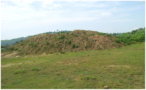 Figure 7. Photograph of soil collection site of a brick manufacturing unit in Jagiroad.