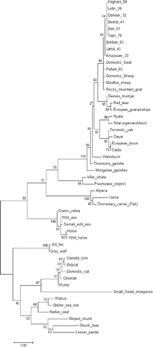 FIGURE 1. Variation plot based on polymorphic contents taken from Table 5.