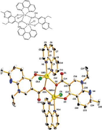 Fig. 3. Symmetry-related crystal diagram of [Cd2(nal)2(phen)2Cl2].