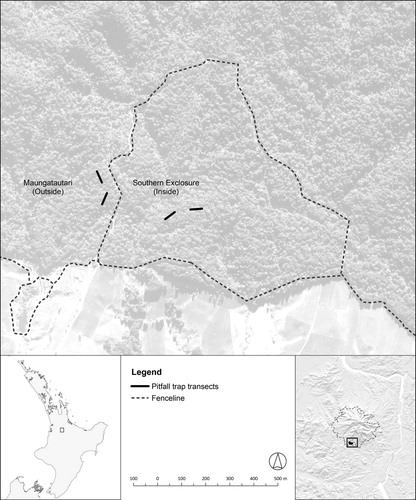 Figure 1. Locations of the pitfall trap transects situated within the southern exclosure (‘inside’ transects) and outside the southern exclosure on Maungatautari (‘outside’ transects).