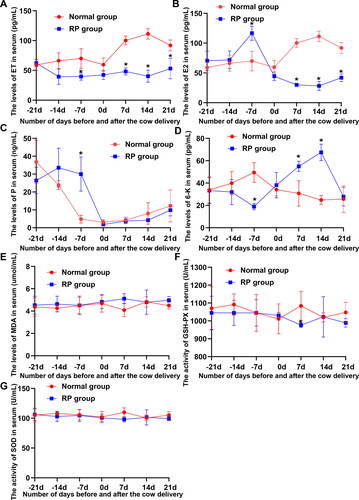 Figure 1. Fluctuation of reproductive hormones, ET, and oxidation and antioxidant markers during the transition periods of lactating dairy cows. (A) Differences in serum ET levels in 10 cows with RP and 10 healthy cows during the transition periods. (B–D) Differences in E2, P, and 6-K levels in cows with RP and healthy cows during the transition periods. (E–G) Differences in the MDA level and GSH-Px and SOD activity in cows with RP and healthy cows during the transition periods.