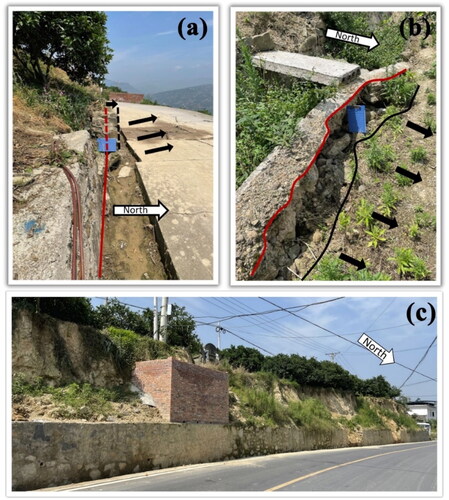 Figure 6. Photos from the field investigation. (a) Mini kinematic unit, which is observed in the derived spatial pattern. (b & c) The secondary shear outlets of L1 and L2 in Figure 5(a).