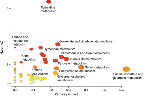 Figure 5. Pathway enrichment analysis using MetaboAnalyst of the metabolites that altered significantly in CM1 and CM2.Visualization of Joint pathway enrichment analyses. Nodes are colored according to –log10(p) and sized according to the number of associated members metabolites.p < 0.05.