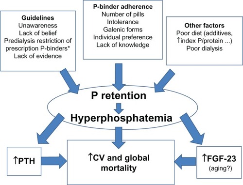 Figure 1 Causes and consequences of P retention and hyperphosphatemia beyond CKD itself. Beyond all the pathophysiological factors leading to P retention and hyperphosphatemia in CKD, we represent their additional causes and potential consequences. Several factors are related to equivocal or unproved guidelines, absence of adherence to prescriptions as well as other circumstances.