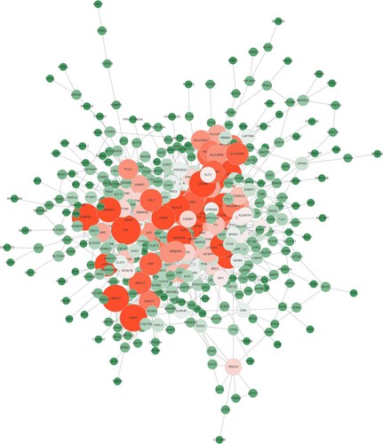 Figure 3. Differential gene-protein interaction networks.