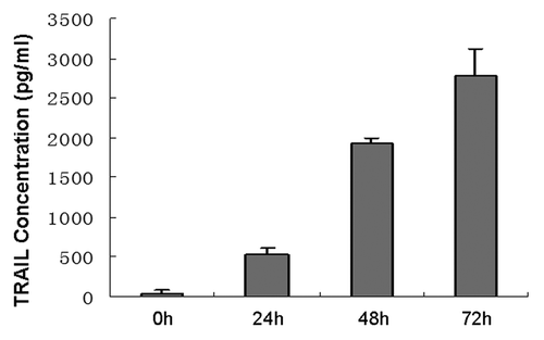 Figure 4. High-level expression of TRAIL produced by TRAIL-MSCs in vitro. The concentrations of TRAIL increased gradually with culture time. Each point represents the mean ± SD of three independent experiments.