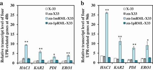 Figure 1. Comparison of the transcript levels of four UPR-related genes in RML-expressed strain before and after adding propeptide.