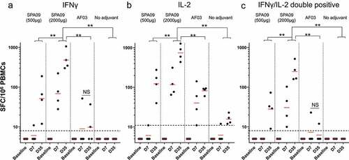 Figure 8. Characterization of cellular immune responses in macaques following vaccination. F-specific T-cell ELISpot responses at day 7 (7 days post-dose 1) and day 35 (7 days post-dose 2) in PBMCs from immunized macaques. (A) IFNγ ELISpot results. (B) IL-2 ELISpot results. (C) IFNγ/IL-2 double positive. Bars = Geometric mean; dotted line = responder threshold; ** P-value<0.01