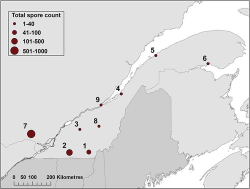 Fig. 1 Cumulated Heterobasidion irregulare spore counts in nine collection sites of the province of Quebec in autumn 2015.