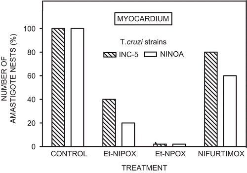 Figure 4.  Effect of ethyl ester of N-isopropyl oxamate (Et-NIPOX), ethyl ester of N-propyl oxamate (Et-NPOX), and nifurtimox on T. cruzi amastigote nests in myocardium of mice infected with INC-5 (hatched columns) or NINOA (open columns) T. cruzi strain. The drugs were administered orally 10 mg/kg per day during 60 days.