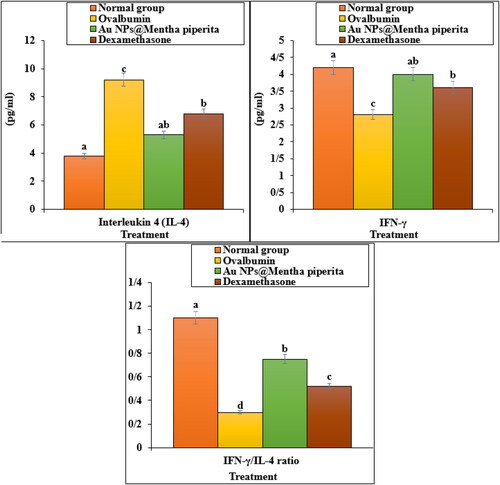 Figure 4. The effect of Au NPs@Mentha piperita on interleukin 4 (IL-4), interferon gamma (IFN-γ), and IFN-γ/IL-4 ratio parameters in ovalbumin-induced asthmatic rats.