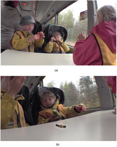 Figure 1 . (a) Old-timer shows how to eat a whole pear, except the stem. (b) Novice children put their stems on the table.