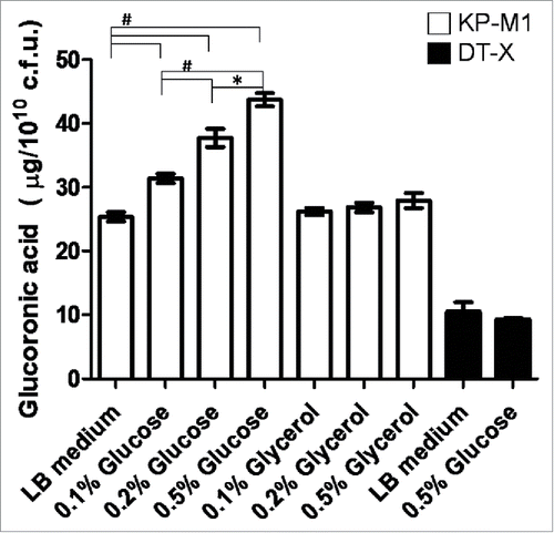 Figure 1. Exogenous glucose affects the capsular polysaccharide (CPS) biosynthesis of KP-M1 or DT-X. Bacterial strains were grown in Luria-Bertani (LB) broth supplemented glucose or glycerol as indicated at 37°C agitation. After 6 h of growth, the glucoronic acid content was determined. The addition of exogenous glucose enhanced CPS biosynthesis of KP-M1 in dose-dependent manner. *, P < 0.05; #, P < 0.01 compared to the indicated group.