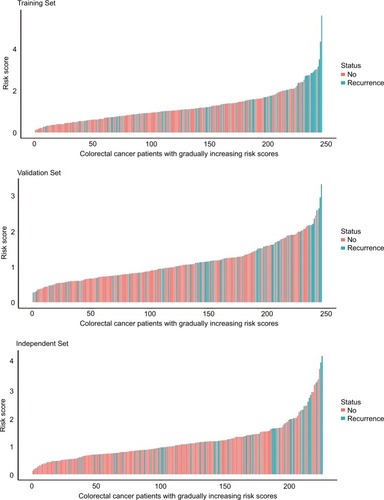 Figure 2 The distributions of risk score and DFS status in the training (n=246, GSE39582), internal validation (n=246, GSE39582), and external independent (n=226, GSE14333) sets.Abbreviation: DFS, disease-free survival.