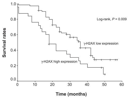 Figure 1 Overall survival of patients with non-small cell lung carcinoma in relation to γ-H2AX expression.