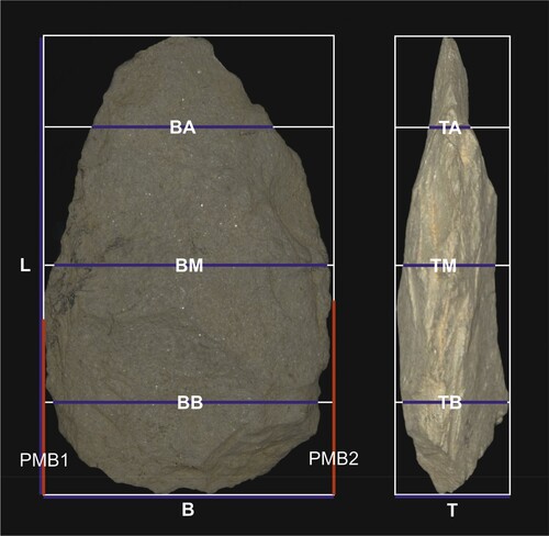 Figure 1. A Kilombe handaxe with all morphological measurements highlighted (the specimen GqJh1 EH368 made of trachyte has the characteristic tip thinning mentioned in text).