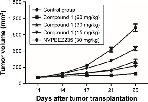 Figure 2 In vivo efficacy of compound 1 and NVP-BEZ235.