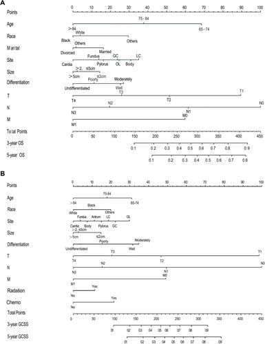 Figure 3 (A) Nomogram for predicting the 3-year and 5-year OS rates of elderly patients undergoing radical gastrectomy. (B) Nomogram for predicting the 3-year and 5-year GCSS rates of elderly patients undergoing radical gastrectomy.