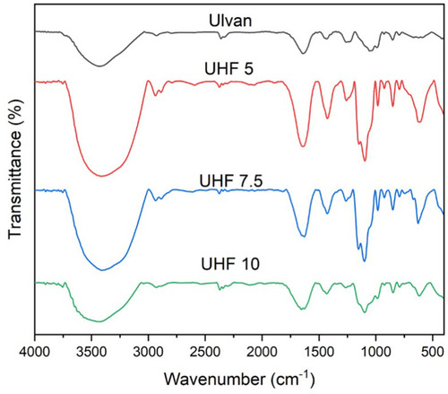 Figure 6 The Spectrum FTIR of UHF formula.