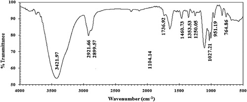 Figure 2. FTIR spectrum of the novel cationic Gemini surfactant (CGS).