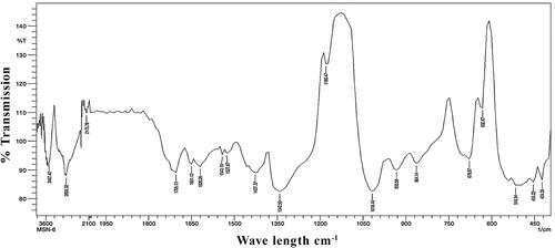 Figure 4. Fourier transform infra-red spectroscopy (FTIR) spectrum of AgNPs.