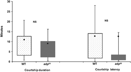 Figure 2. Length of courtship and courtship latency for wild type flies and adipose mutants. See Figure 1 formatting and label details. “NS” indicates comparisons not significantly different at P > 0.05.