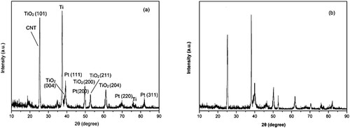 Figure 4. XRD patterns of fresh (a) and six times recycled Ti/TiO2-CNT-Pt (b).