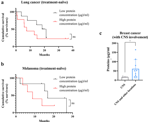 Figure 3. Complementary studies for total protein concentration in patients plasma-circulating sEVs showing a correlation between a high protein amount and a worse prognosis. a. Survival analysis showing the cumulative survival probability in patients with previously untreated metastatic lung cancer according to the protein concentration in plasma-circulating sEVs (taking the median value of the group as reference). b. Survival analysis showing the cumulative survival probability in patients with previously untreated metastatic melanoma according to the protein concentration in plasma-circulating sEVs (taking the median value of the group as reference). Differences were assessed using the Log-Rank test. c. Analysis of protein concentration in circulating sEVs regarding the type of progression experienced in patients with metastatic breast cancer and known central nervous system (CNS) involvement: at CNS only or at CNS and other locations. * p value 0.02. ns: not significant.