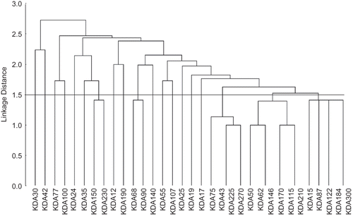 Figure 4 Cluster diagram of 33 protein subunits in wild and cultured fish samples of Labeo rohita.