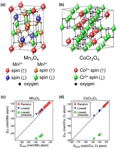 Figure 7. The most stable spin structure of (a) Mn3O4 and (b) CoCr2O4 from the genetic algorithm. In (a), red (blue) spheres mean spin up (down) of Mn2+ ions and orange (green) spheres indicate spin up (down) of Mn3+ ions. In (b), red (green) spheres correspond to the spin-up Co2+ (spin-down Cr3+). (c) and (d) compare the magnetic energies between Ising model and first-principles calculations for Mn3O4 and CoCr2O4, respectively. The notations are the same as in Figure 5.