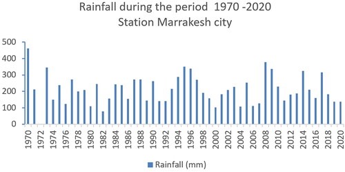 Figure 4. Average monthly rainfall of Marrakech City (1970–2020). Source: Tensift Water Basin Agency.