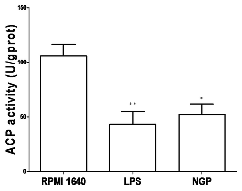 Figure 6. NGP decreased ACP activity inside the BMDCs. All data of ACP activity were shown as means ± S.E.M. (n = 3).