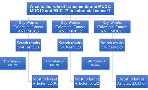 Figure 1 Flowchart illustrating the search strategy in PubMed database.