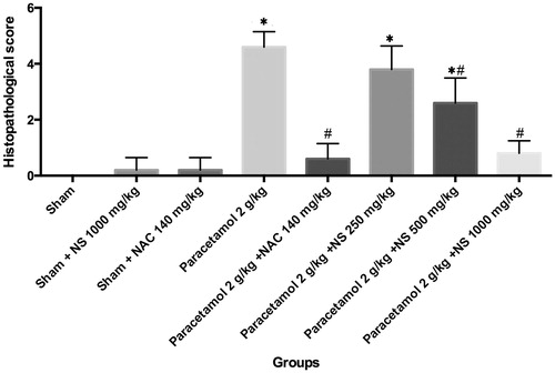 Figure 1. Histopathological score differences in groups. *Indicates that histopathological score significantly greater than the sham group, #indicates that histopathological score is significantly lower than the paracetamol 2 g/kg group, p < 0.05 was considered statistically significant.