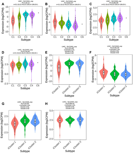 Figure 5 Expression of SLC10 family genes in liver cancer with different immune subtypes and molecular subtypes. Expression of SLC10A1 (A), SLC10A3 (B), SLC10A5 (C), SLC107 (D) is significantly different among five immune subtypes of liver cancer. Expression of SLC10A1 (E), SLC10A3 (F), SLC10A5 (G) is significantly different among three molecular subtypes of liver cancer, while expression of SLC10A7 (H) is not significantly different in three molecular subtypes of liver cancer.