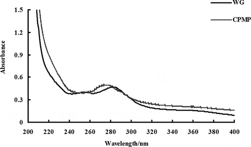 Figure 4. UV-visible spectroscopy of WG and CPMP