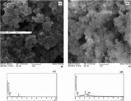 Figure 4 SEM images of sample S3 (a) and sample S3 loaded with silver nanoparticles (b). EDXA spectra of sample S3 (c) and sample S3 loaded with silver nanoparticles (d).