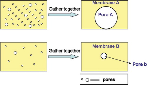 Figure 1. Schematic of the support membranes with high flux (A) and low flux (B).