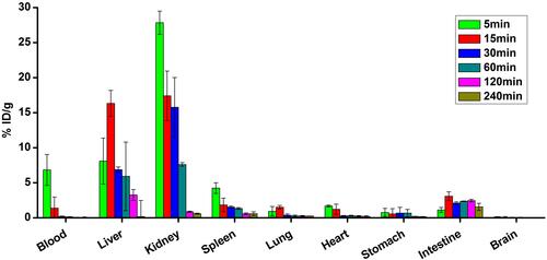 Figure 4 Biodistribution profile (%injected dose per gram organ, %ID/g organ) of 99mTc-DCN in healthy mice.