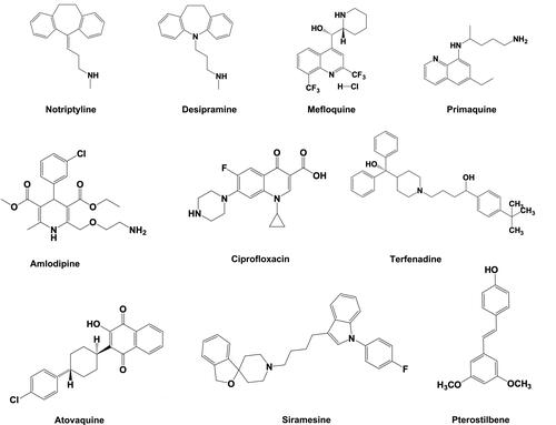 Figure 4 Chemical structure of some important lysosomotropic compounds used to induce LMP.