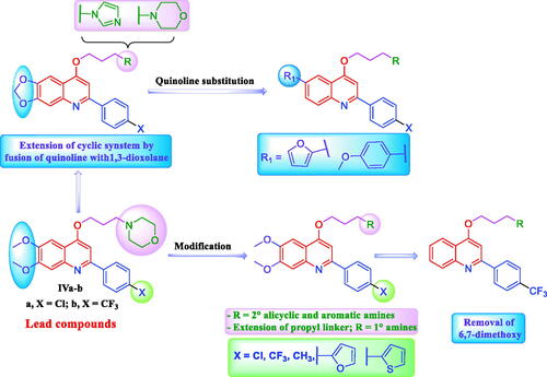Figure 3. Different structural modification strategies adopted for design of target quinoline derivatives in this study.