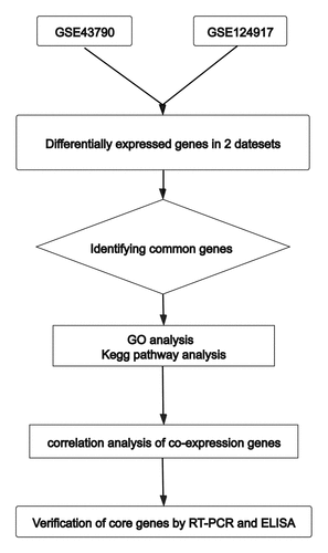 Figure 1. Flow chart of analyses performed in this research