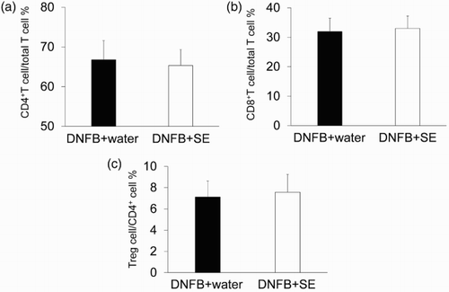 Figure 8. Percentage of CD4+T cells, CD8+T cells and Treg per fixed number of T cells in DNFB-challenged mice. T-cell subtype was analyzed by flow cytometry. (a) Percentages of CD4+T cell/T cell. (b) Percentages of CD8+T cell/T cell. (c) Percentages of Treg/CD4+cells. Data are means +/– SD, n = 8.