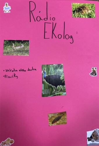 Figure 5. A poster for Radio Ecologist.