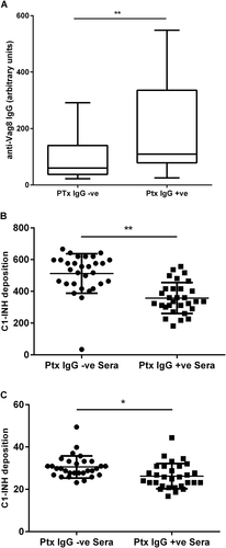 Fig. 6 a ELISA measuring Vag8-specific antibody in 60 Ptx IgG-negative non-convalescent and Ptx IgG-positive (convalescent) sera (**Mann–Whitney test p < 0.01). b Effect on C1-INH deposition following pre-incubation of B. pertussis UK61 (high Vag8-expressing strain) or UK25 (low Vag8-expressing strain) with either Ptx IgG-positive convalescent sera (n = 30) or Ptx IgG-negative non-convalescent sera (n = 30) (**p < 0.001 and *p < 0.05 by T-test)