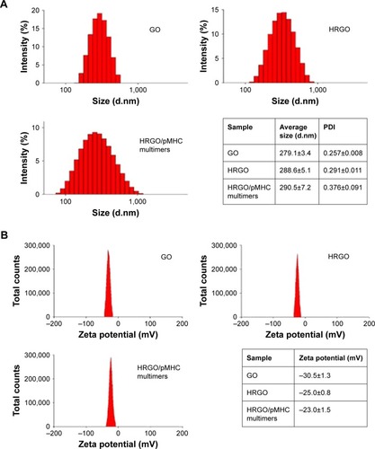 Figure 3 Average particle size after introduction of hemin onto RGO and the subsequent loading of biotinylated pMHC monomers onto HRGO.Notes: (A) Particle size and (B) zeta potential of GO, HRGO, and HRGO/pMHC multimers.Abbreviations: GO, graphene oxide; HRGO, hemin reduced GO; PDI, polydispersity index; pMHC, major histocompatibility complex peptide.