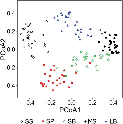 Figure 3. Scatterplot of the principal coordinate analysis of the studied forest-steppe habitat types. Empty circle: sandy steppe, filled square: sandy pine grove, empty triangle: sandy birch grove, filled circle: loamy birch grove, filled triangle: meadow-steppe. Eigenvalues of the first and second axes were 10.51 and 6.76, respectively.